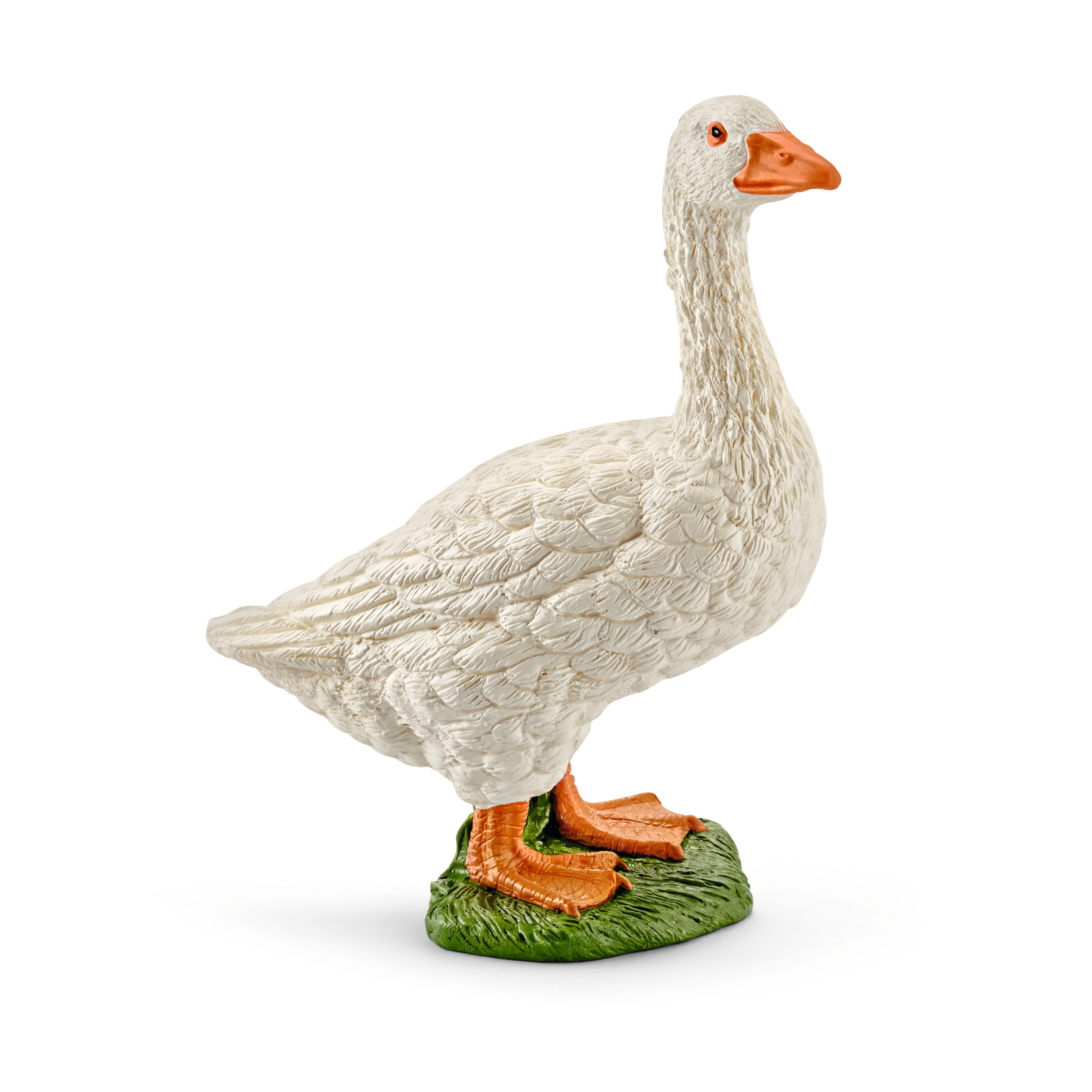 Fowls and Friends