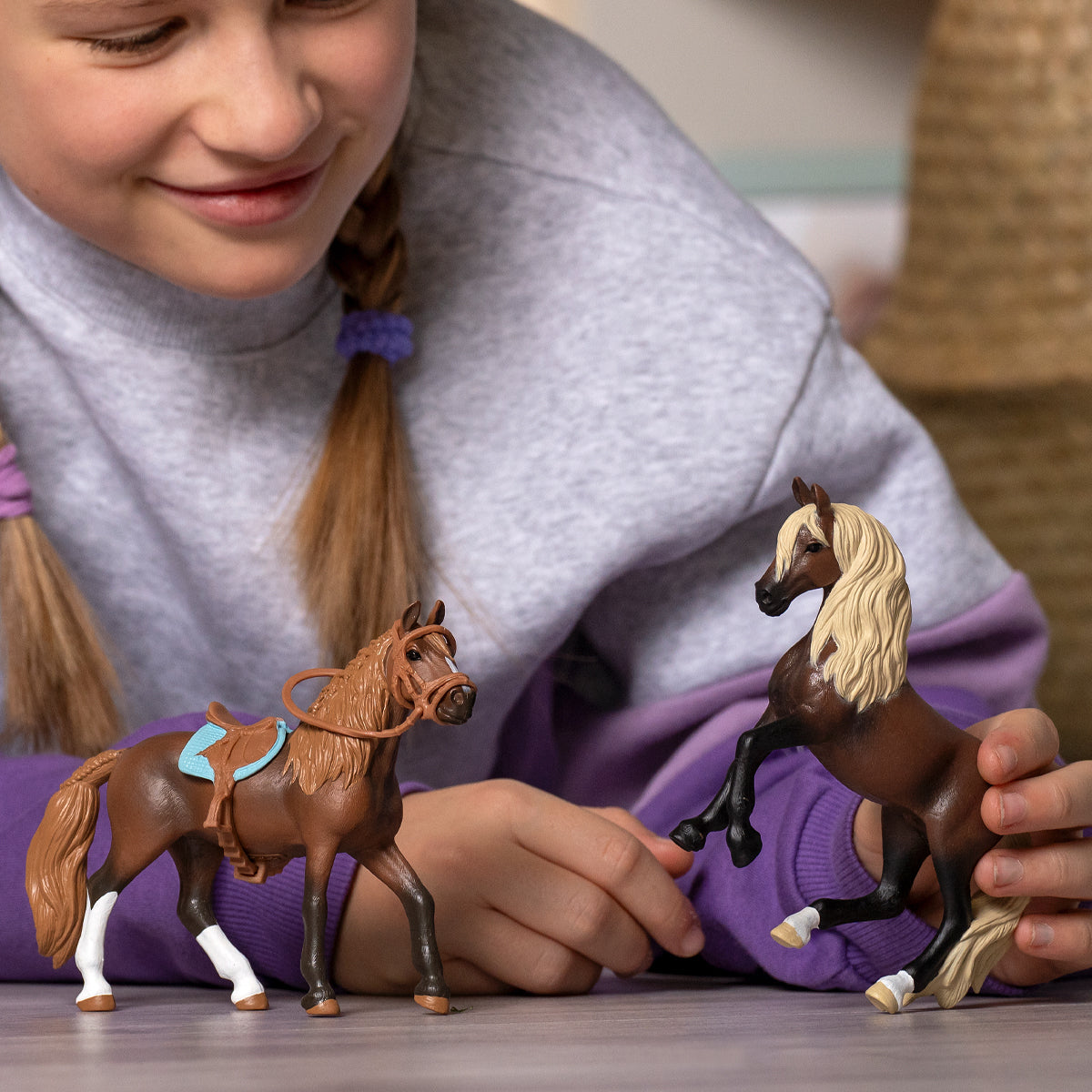 Peruvian Paso Stallion