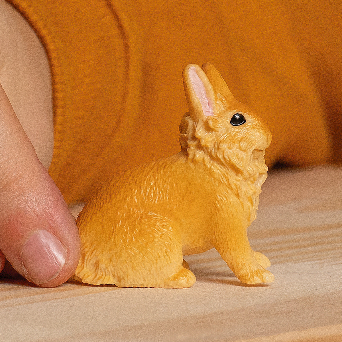 Lionhead Rabbit