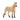 Norwegian Fjord Horse Gelding
