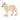 Arctic wolf