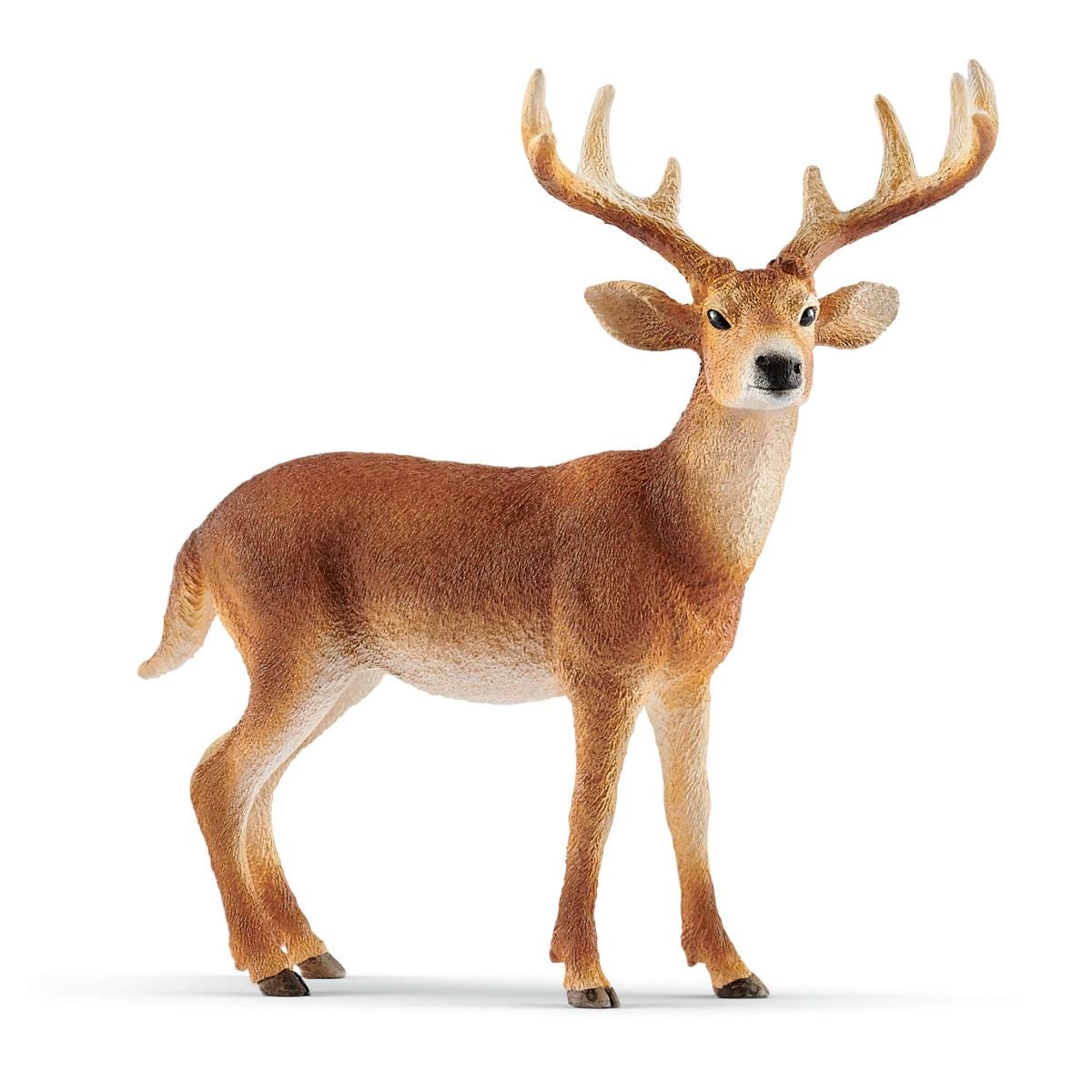 5-Piece North American Woodland Bundle