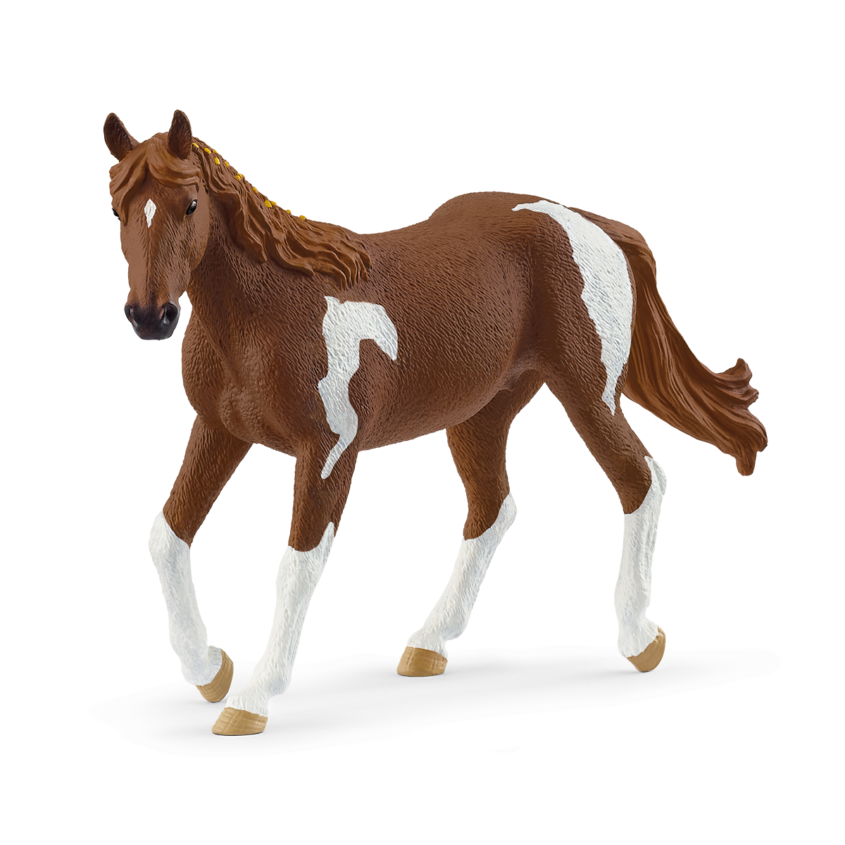 Paint horse mare