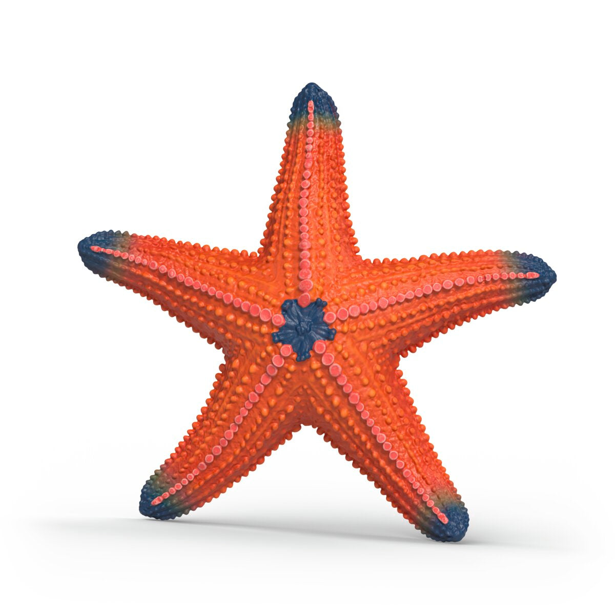 Color Changing Starfish 14902 WILD LIFE | Schleich USA Inc.
