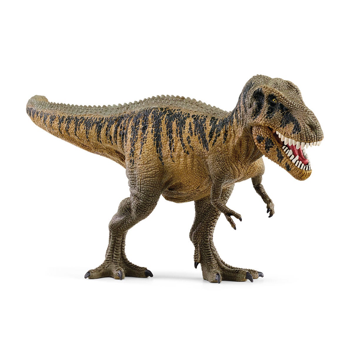 Tarbosaurus Tarbosaurus