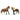 Horse Club Paso Peruano Starter Set