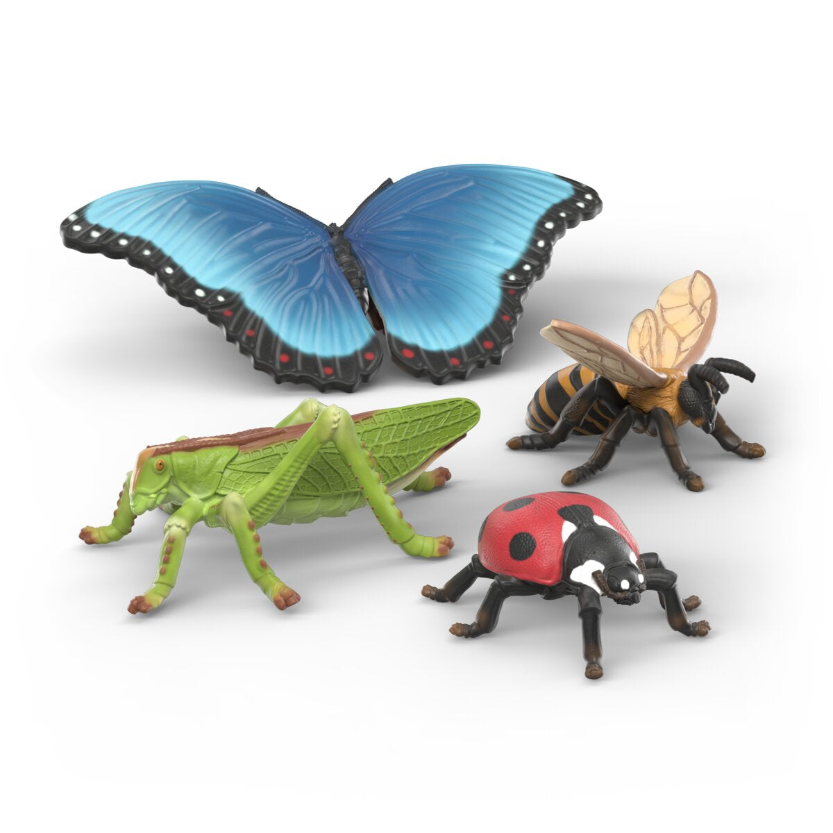 AVISO COLE GRASSHOPPER 5’9×19 7/8×2 7/16 Insects discovery set 42741 WILD LIFE | schleich
