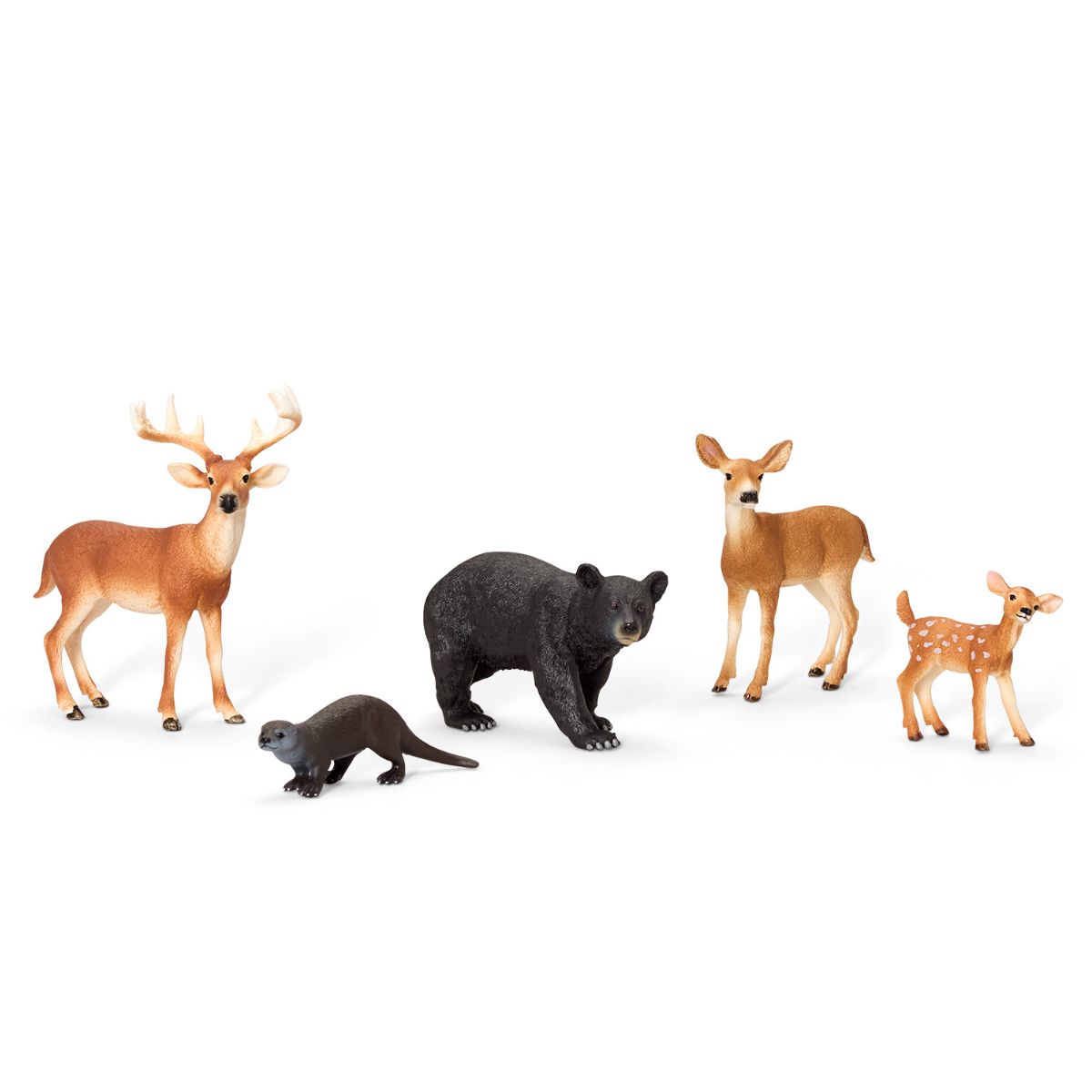 5-Piece North American Woodland Bundle