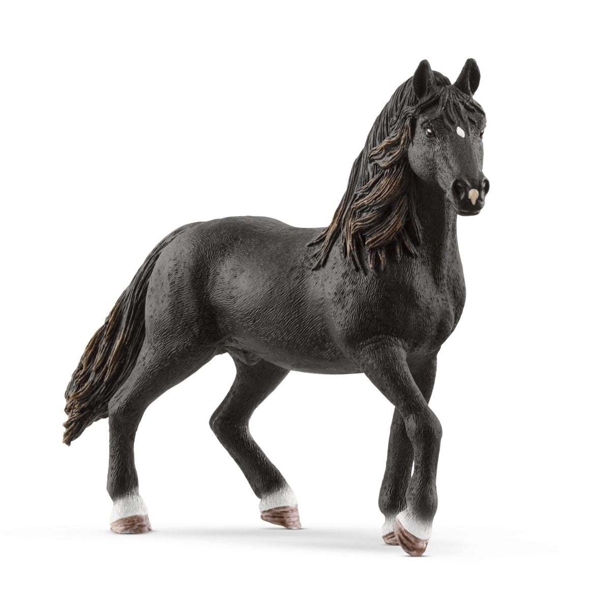 Andalusier Stallion