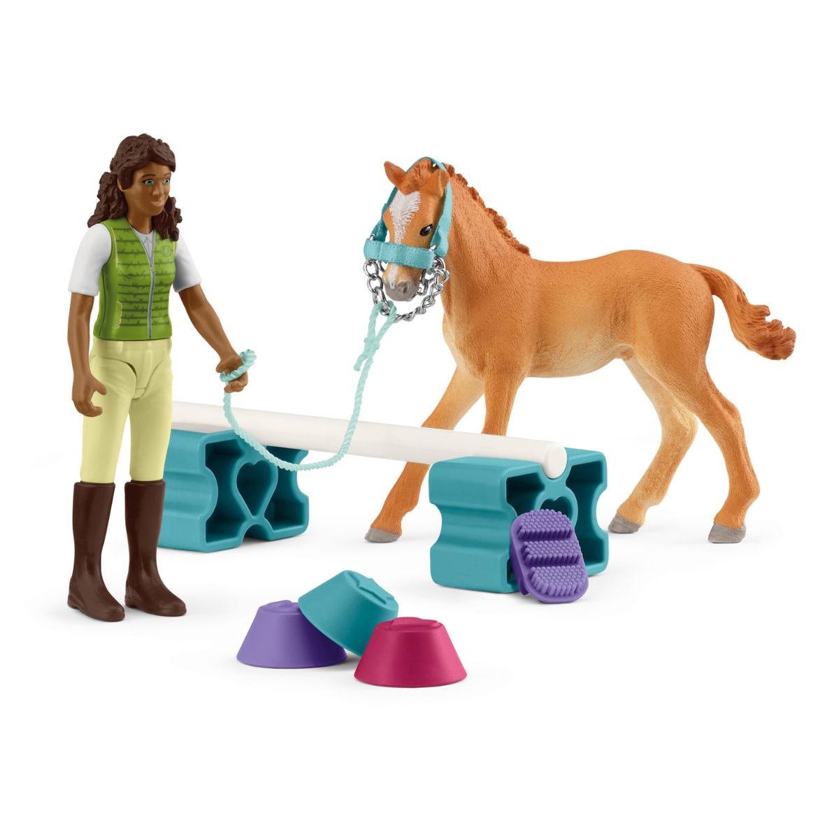 Horse Training with Tennessee Walker Foal 42756 Pocket Sets