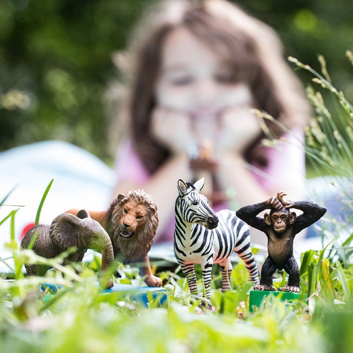 WILD LIFE starter set