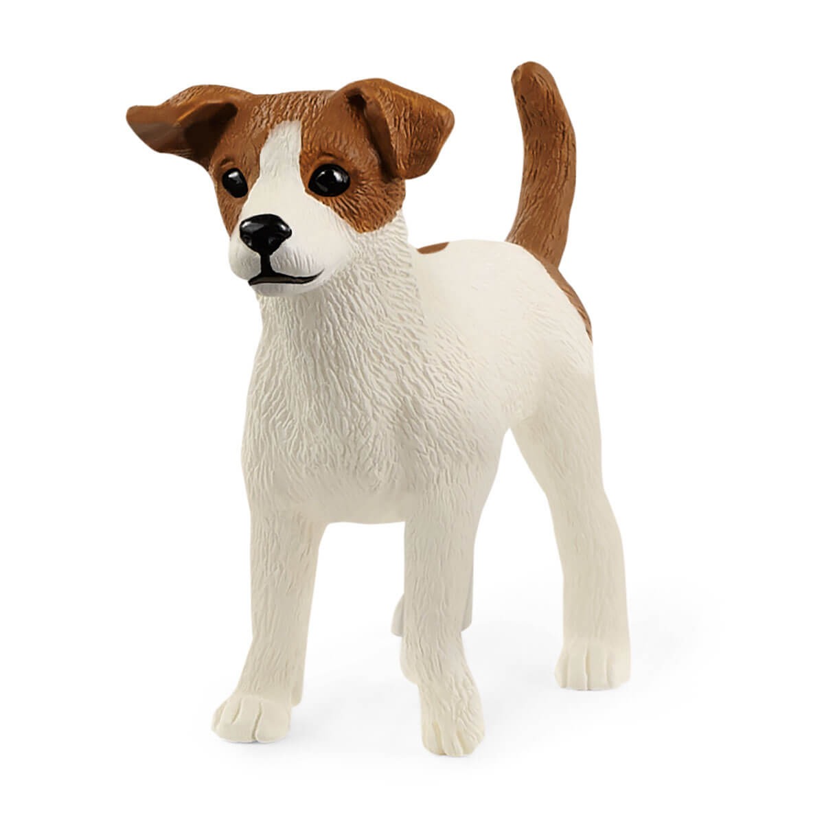 Jack best sale russell shop