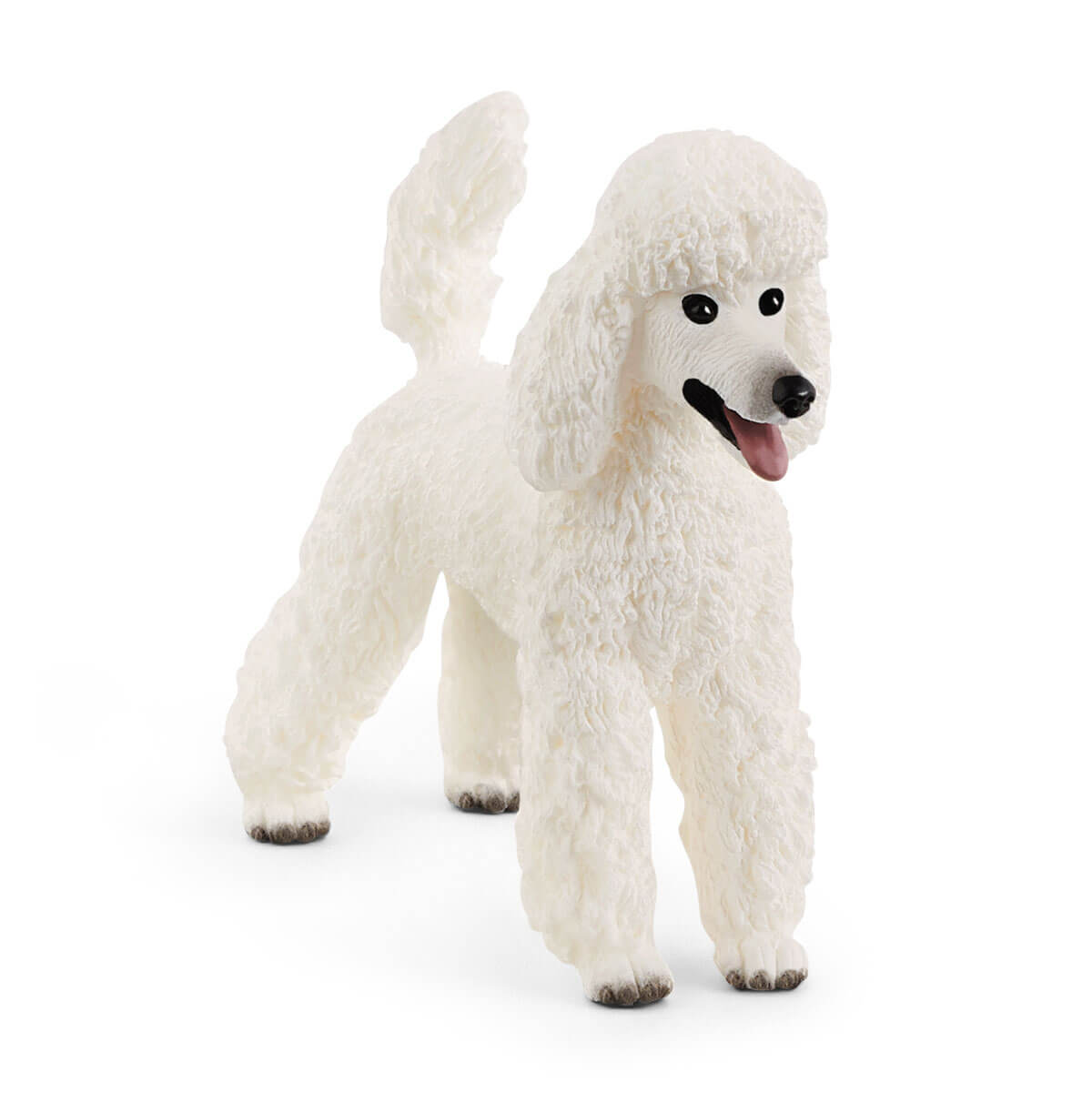 Shalom farms fashion poodles