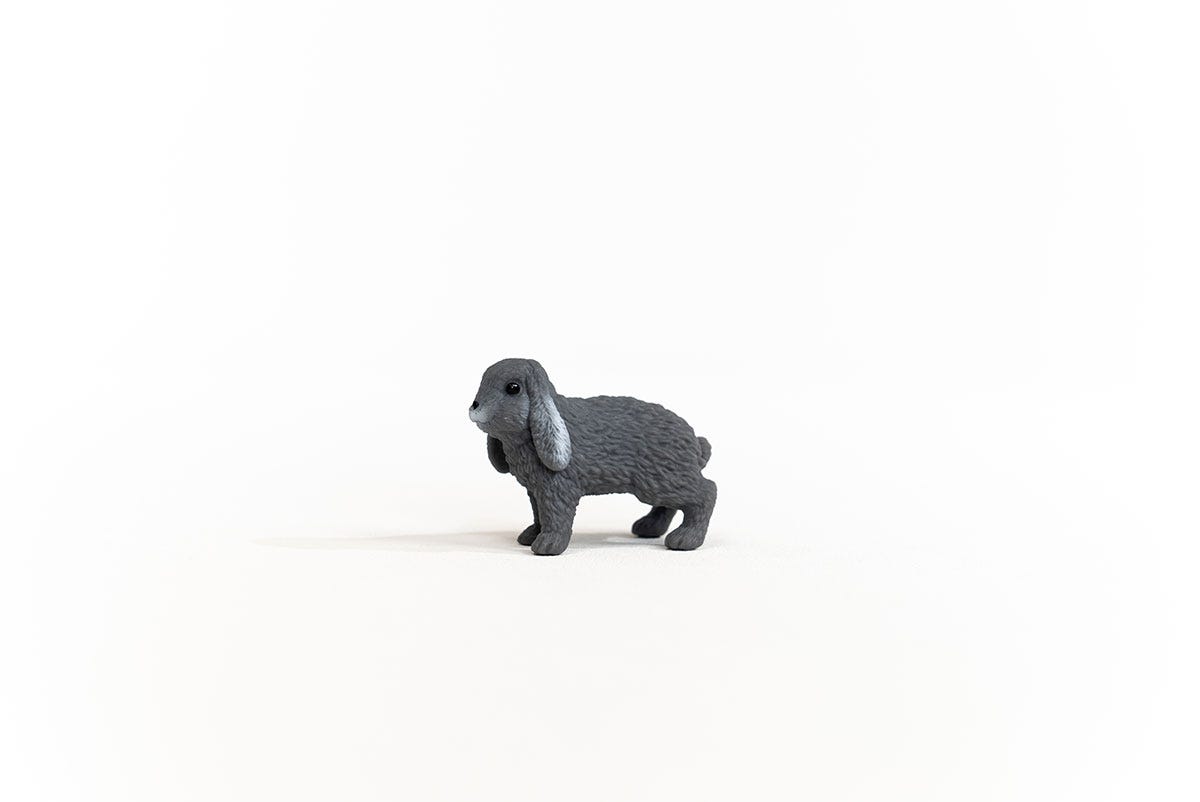 Lop-Eared Rabbit