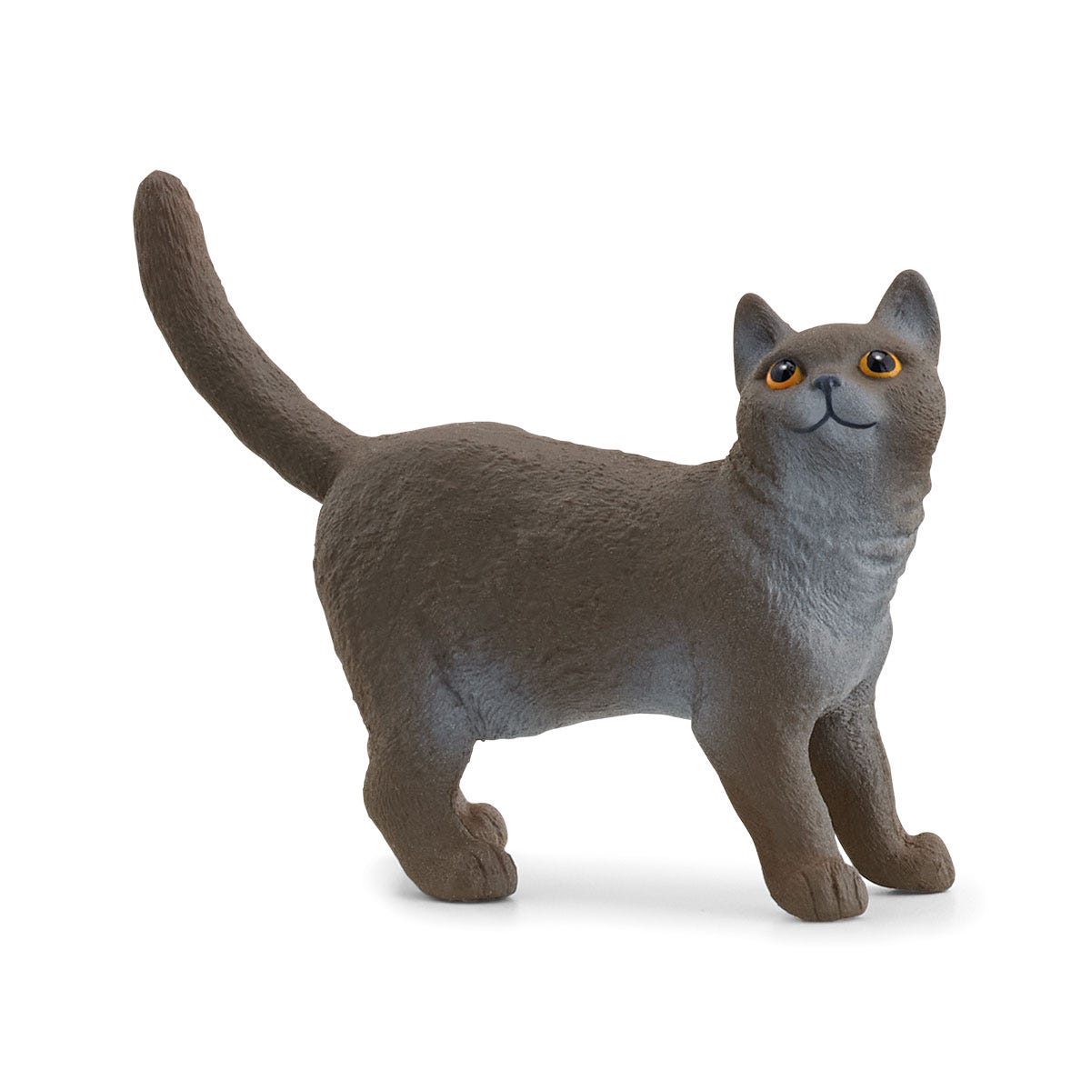Schleich 13973 Gato Británico De Pelo Corto - Figura De Colección FARM WORLD 2x6x4 Cm Schleich 13973 Gato Británico De Pelo Corto - Figura De Colección FARM WORLD 2x6x4 Cm