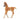 Arabian Foal