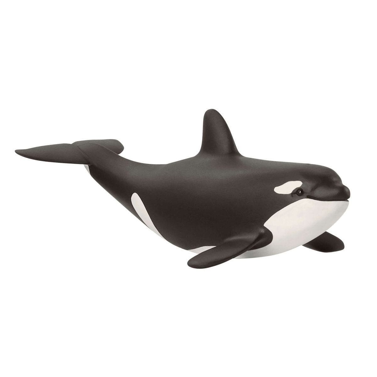 Baby Killer Whale 14836 | Schleich USA Inc.
