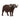 African Buffalo