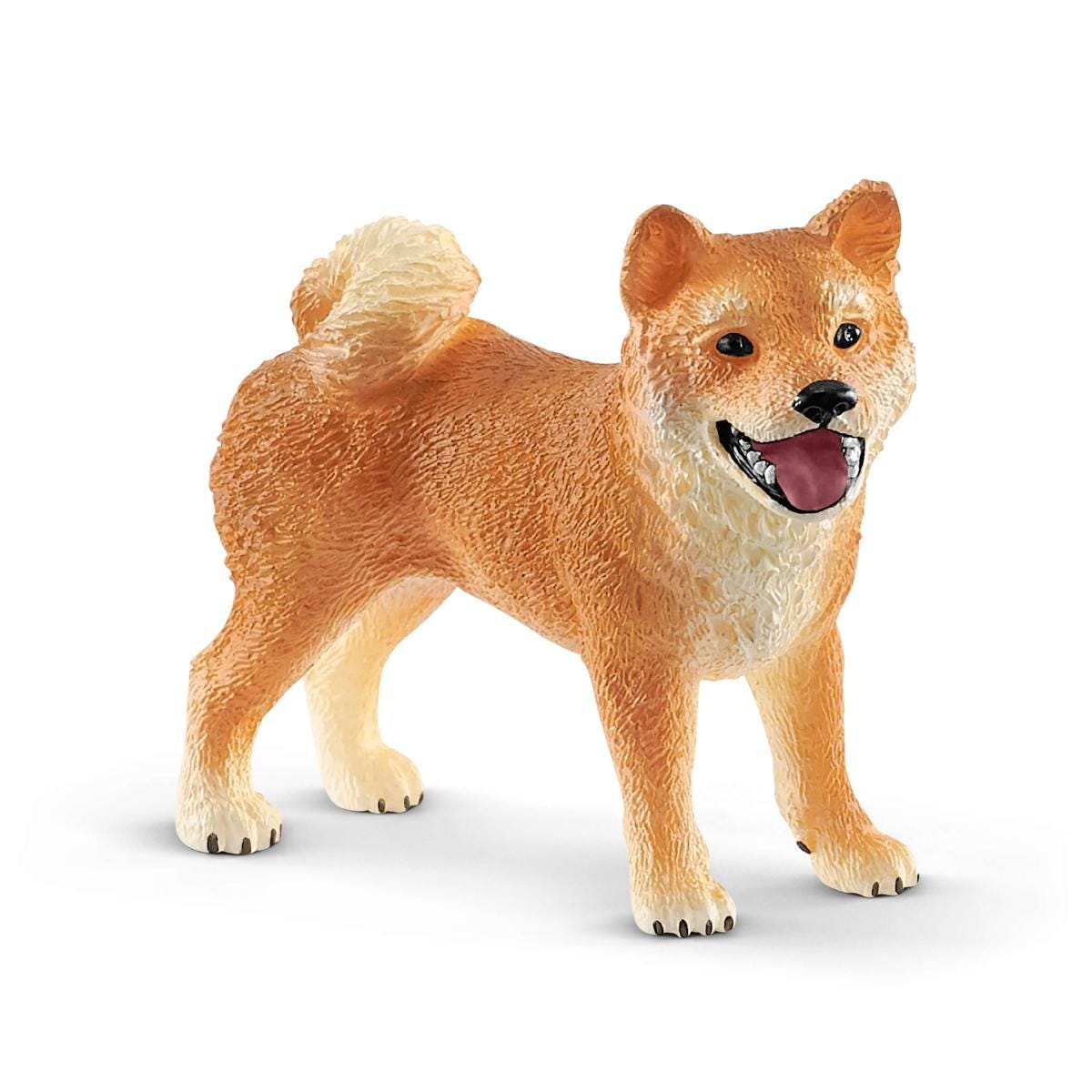 Shiba Inu mother and puppy