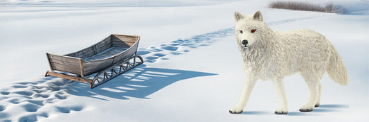 5-Minute Play Idea: Wildlife Problem‑Solving Adventure