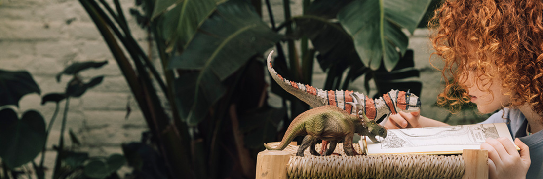 DIY Dinosaur Dig: Excavation Play Activity ⛏️