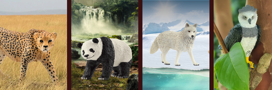5-Minute Play Idea: Animal Adaptation Detective