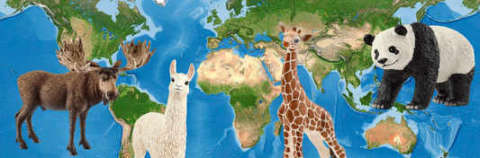 Geography Play Activity: Continent Sorting Game
