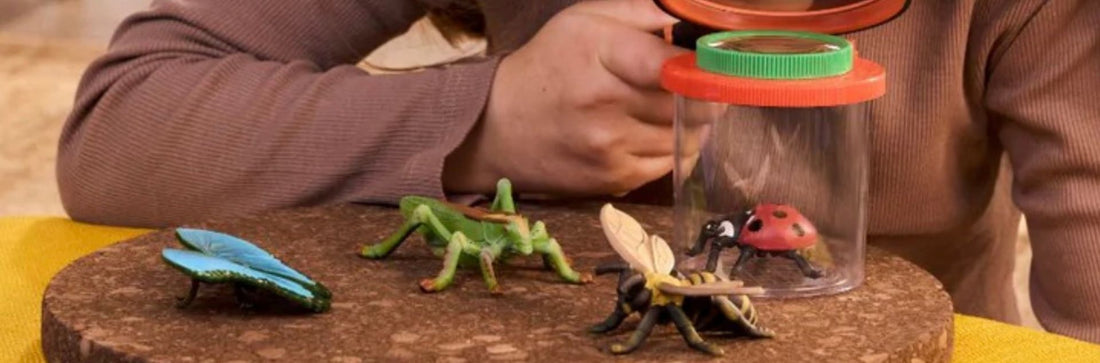 Build Your Own Backyard Bug Lab