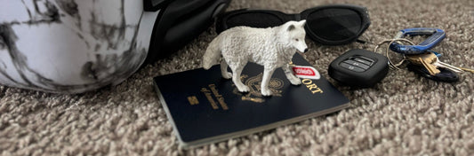 Geography Play Activity: Animal Passport