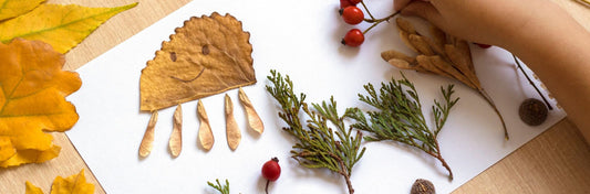 Geography Play Activity: Build a Wildlife Landscape