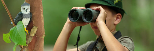 Social-Emotional Skills Activity: Wildlife Ranger Role Play