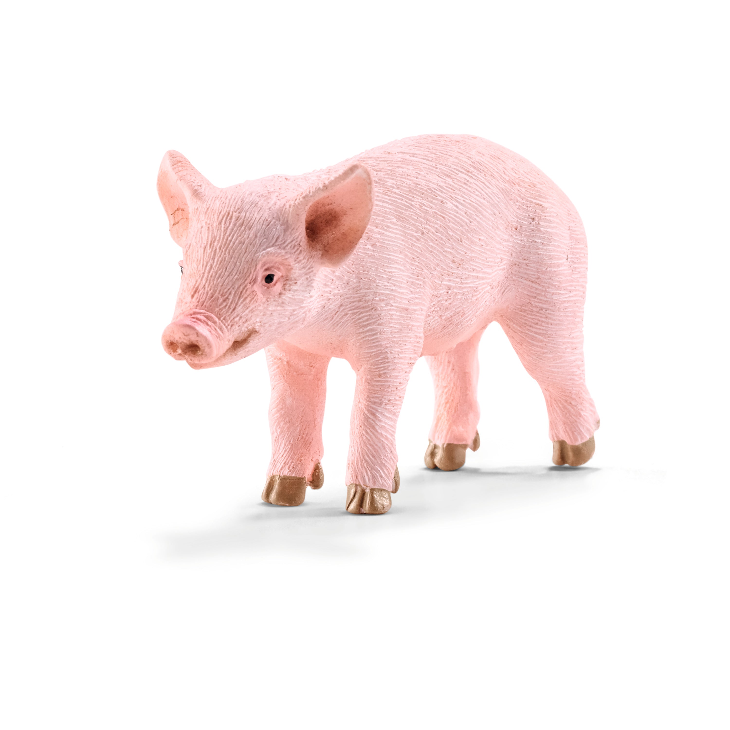 Piglet, standing