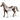 Paint horse gelding