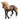 Peruvian Paso Stallion
