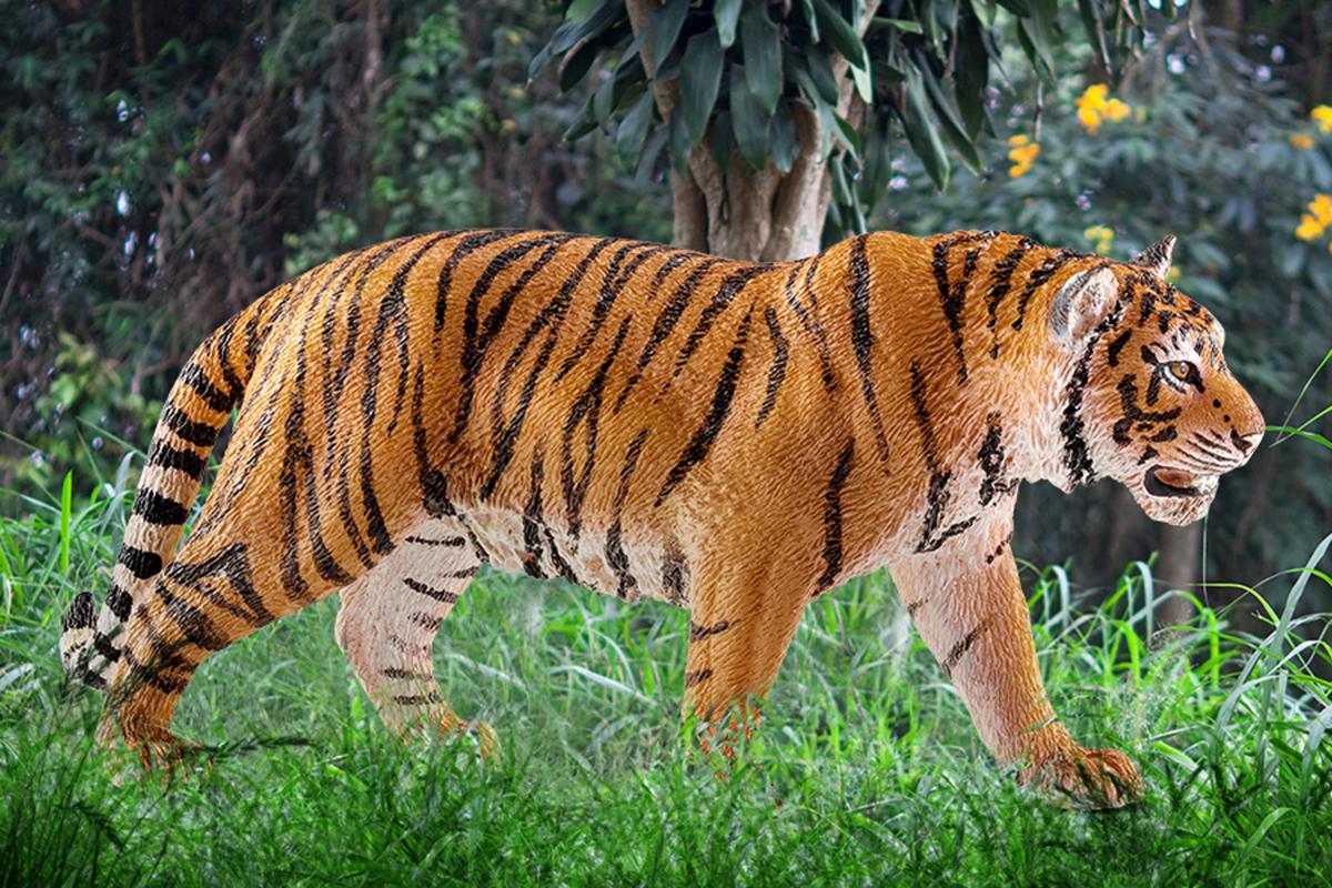 Tiger 14729 | Schleich USA Inc.