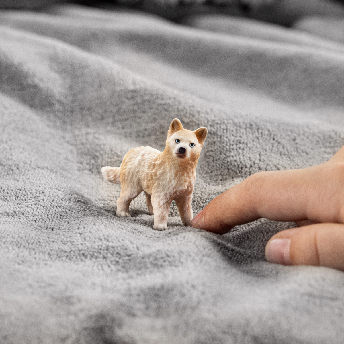 Arctic Wolf Cub 14881 | Schleich USA Inc. Arctic Wolf Cub 14881 | Schleich USA Inc.