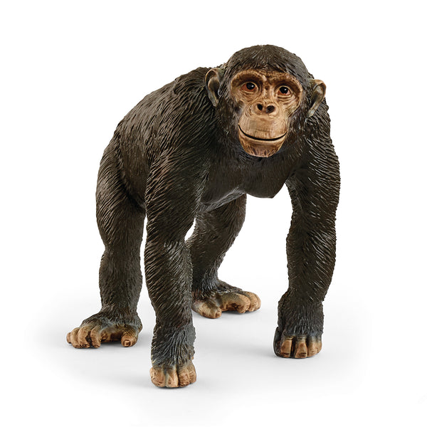 Chimpanzee 14883 | Schleich USA Inc.