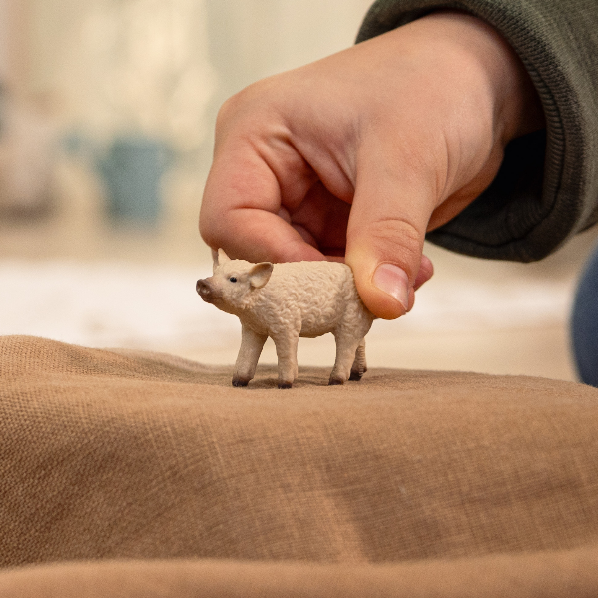 Mangalica Piglet