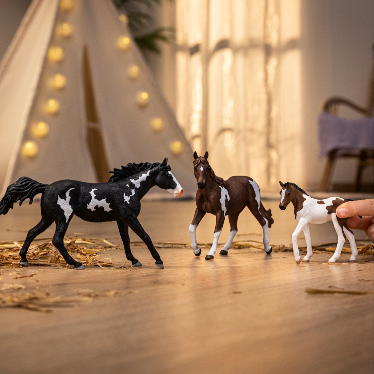 Paint horse mare Paint horse mare