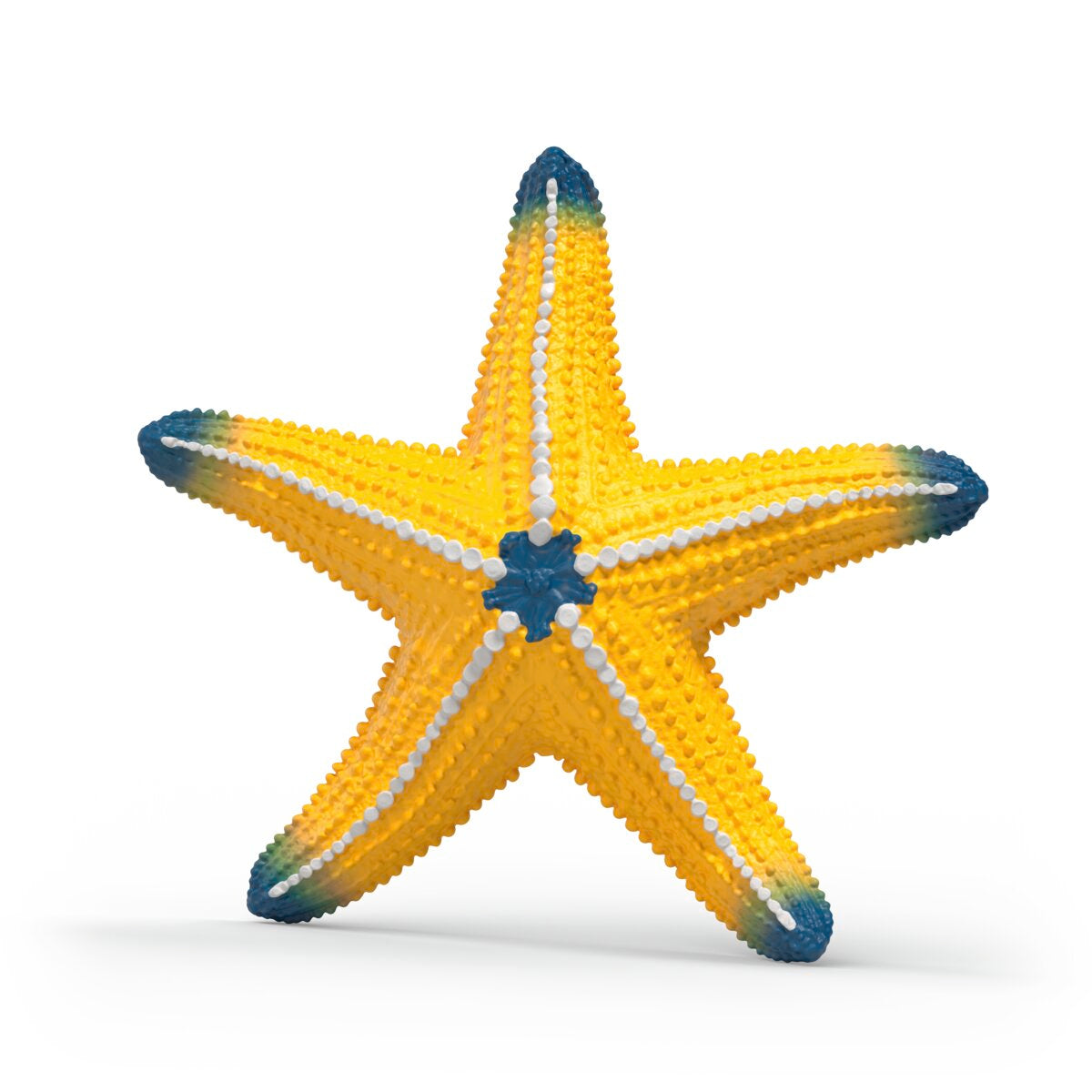 starfish Color Changing Starfish 14902 WILD LIFE | Schleich USA Inc.