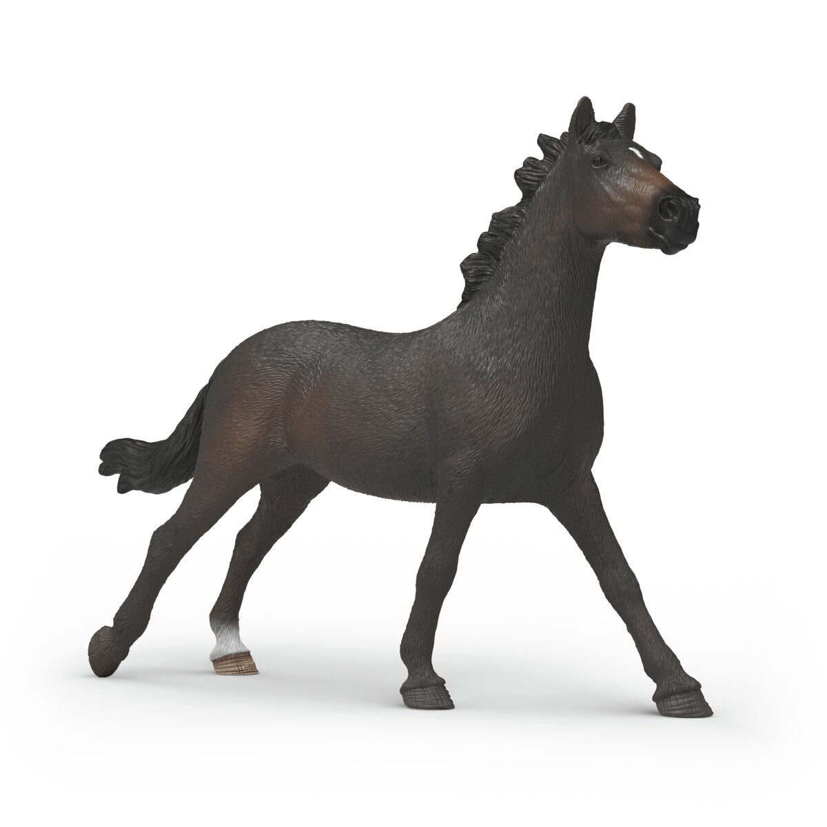 English Thoroughbred Mare