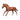 English Thoroughbred Stallion