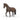 KWPN Gelding