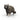 Racoon