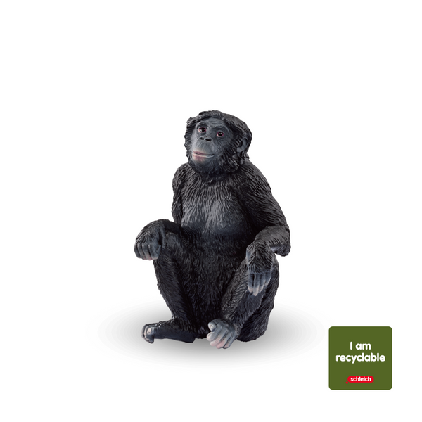 Bonobo Female (Circular) 14943 | schleich