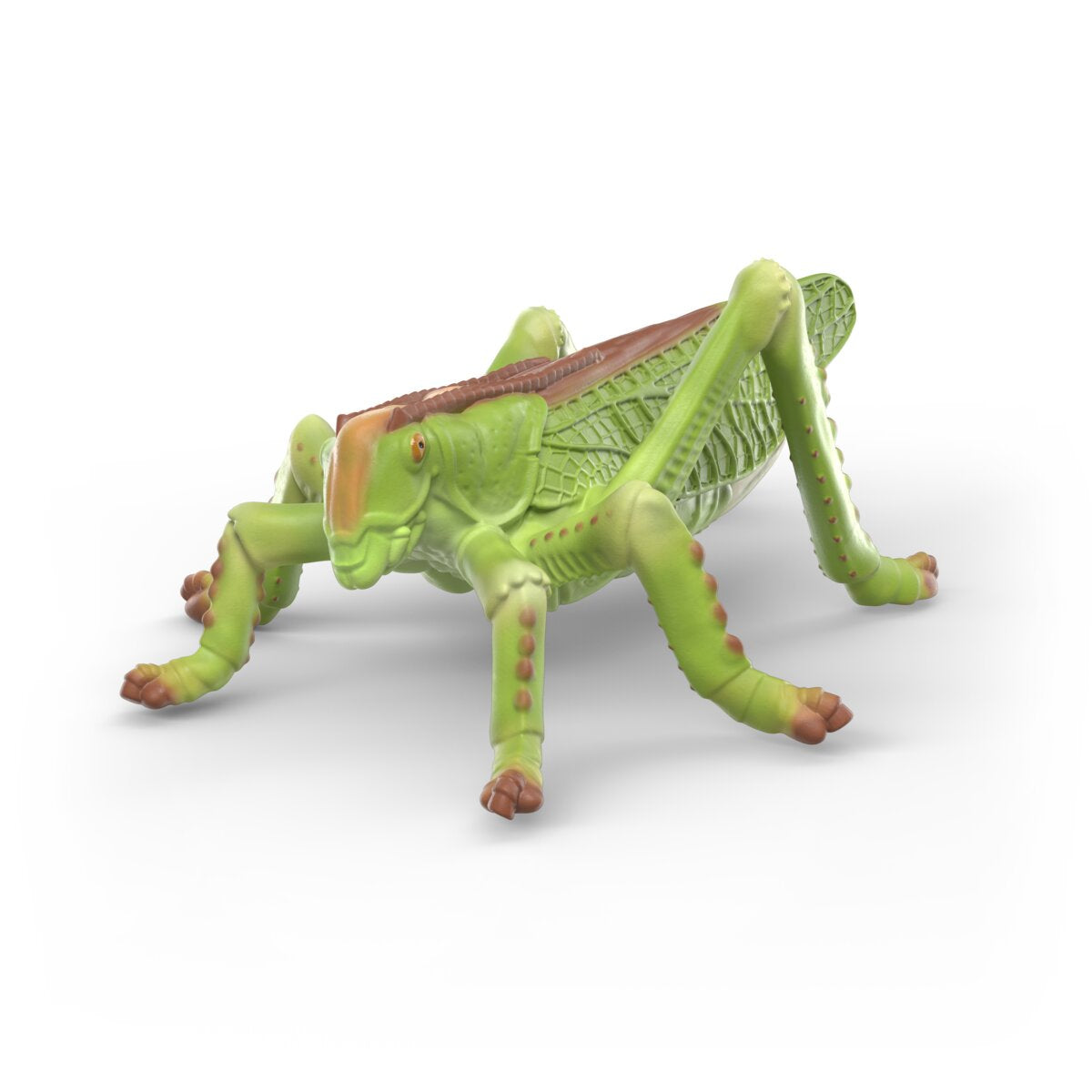 Insects discovery set 42741 WILD LIFE | schleich