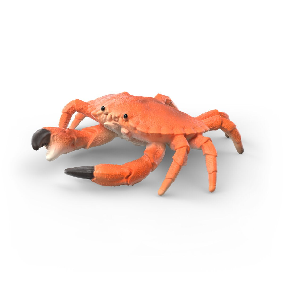 42742 Sea animals discovery set 42742 WILD LIFE | schleich