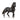 Andalusier Stallion