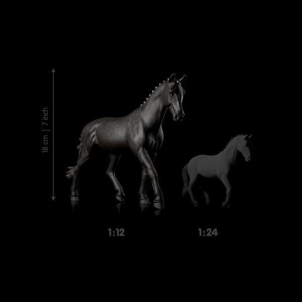 Size & Scale