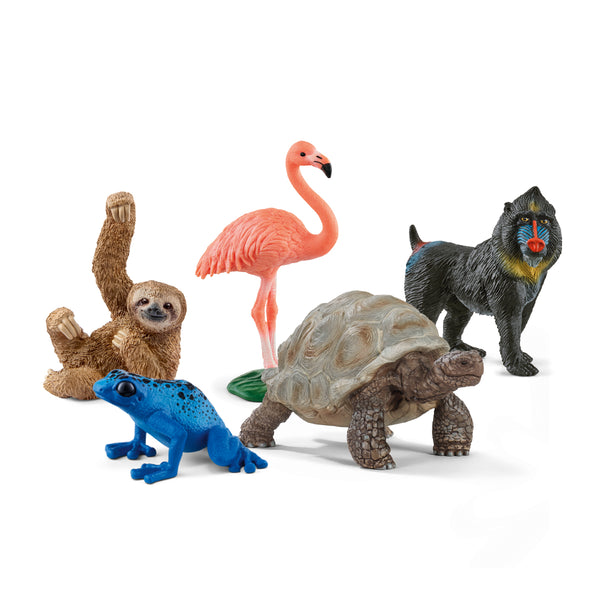 5-Piece Wild Animal Bundle 77590 | schleich